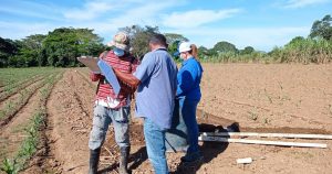 Recorridos en zonas agrícolas de la provincia de Herrera para evitar el trabajo infantil