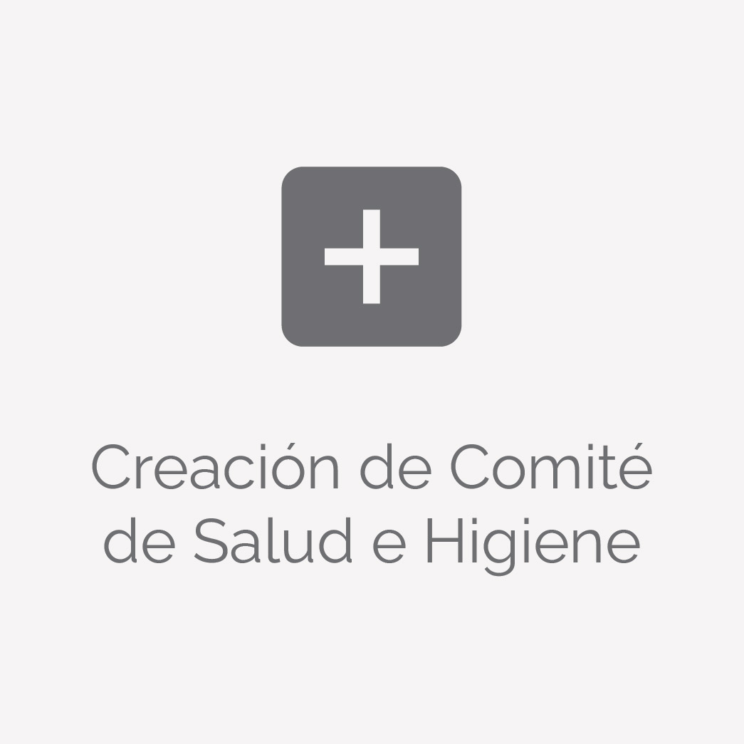 Creacion de Comite de Salud e Higiene