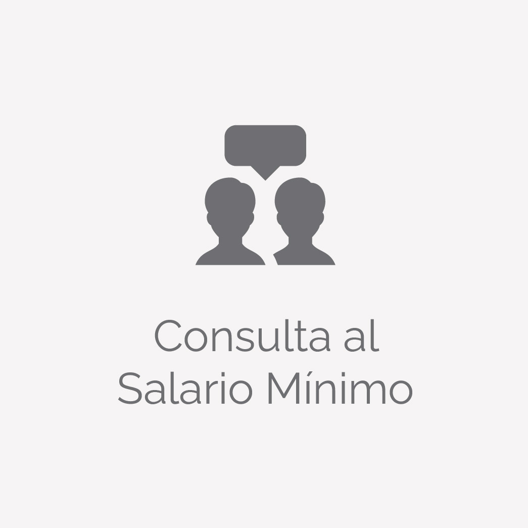 Consulta al Salario Mínimo