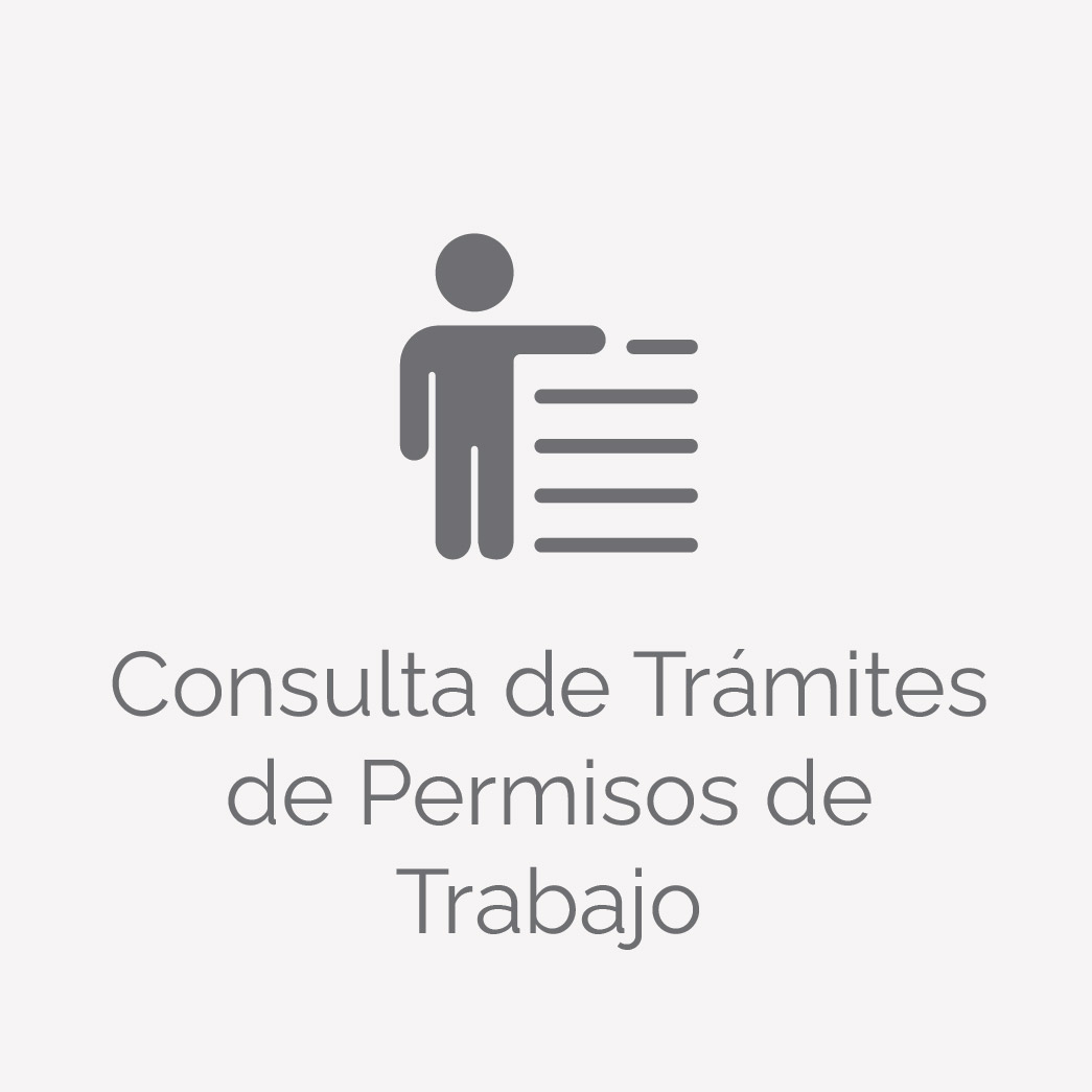 Consulta de Tramites de Permisos de Trabajo