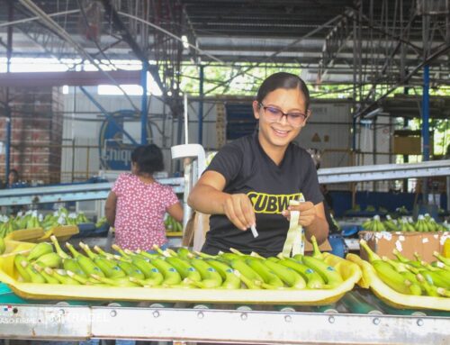 Culmina entrega de bonos a trabajadores bananeros bocatoreños