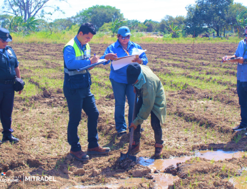 Mitradel realiza jornadas de prevención contra el trabajo infantil en zonas agrícolas de Coclé