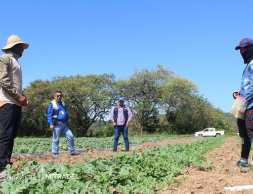 Orientan a propietarios de fincas en Veraguas sobre cumplimiento de normas contra trabajo infantil