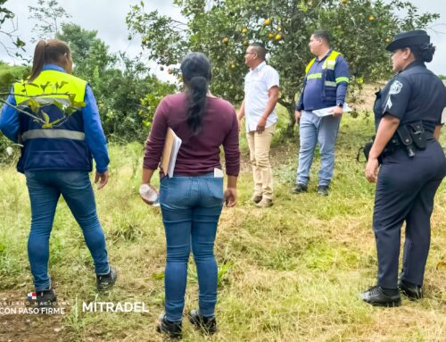 Mitradel vela por protección de menores en fincas agrícolas de Penonomé